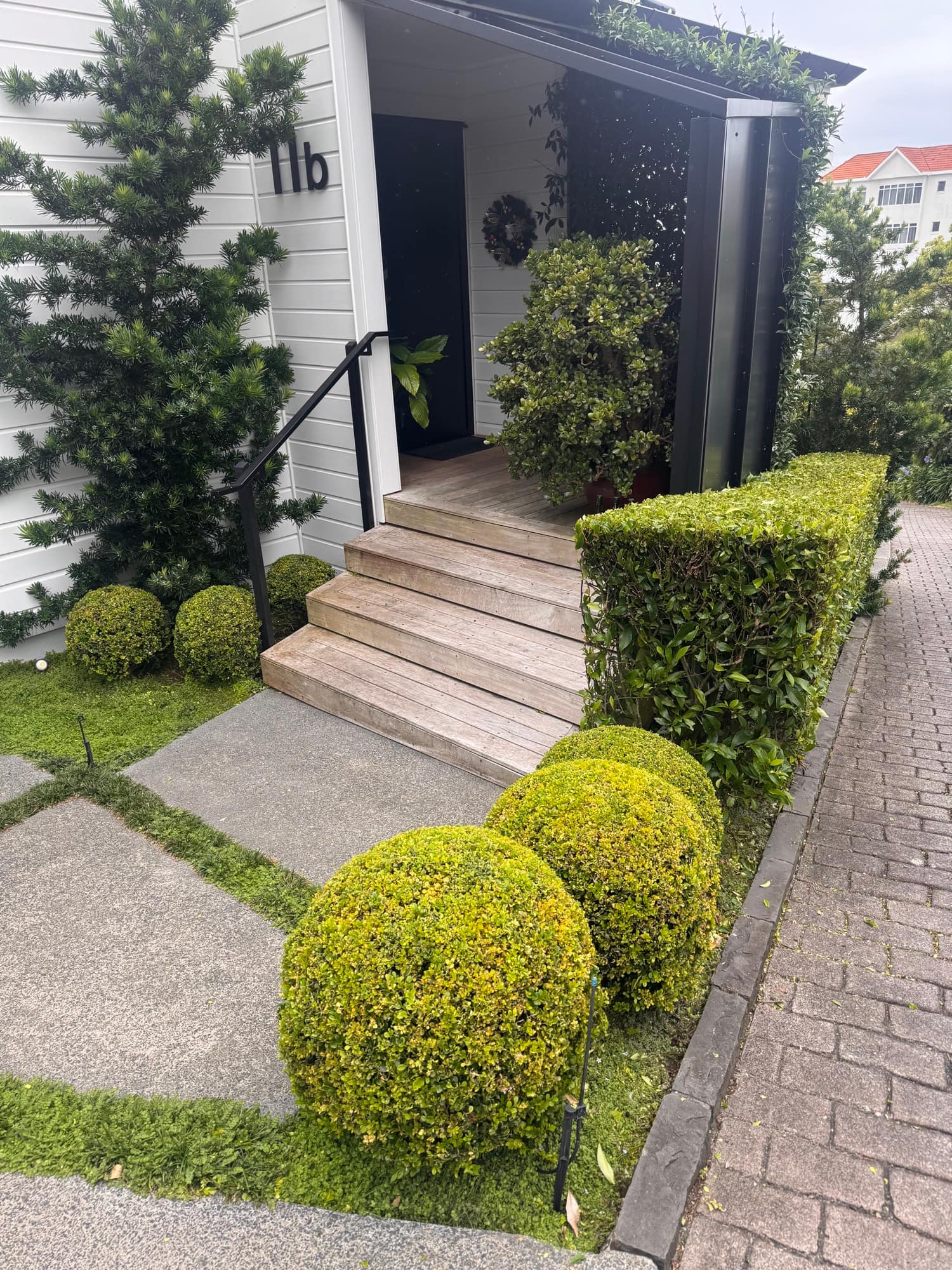 Front entrance of a weatherboard home with clipped buxus balls either side of the path, a low hedge along the driveway and timber steps up to the door